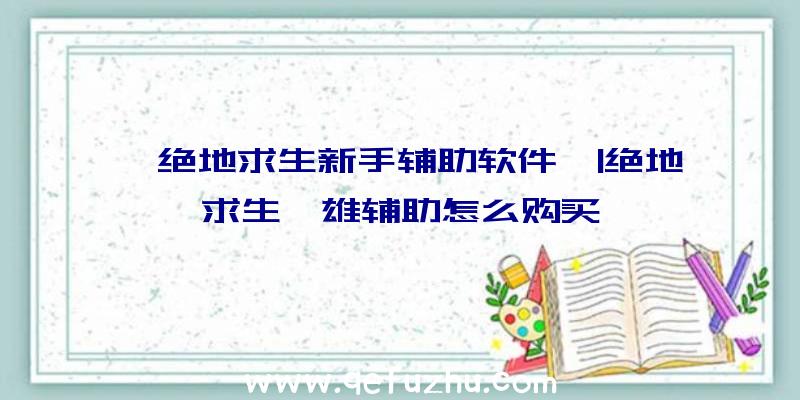 「绝地求生新手辅助软件」|绝地求生枭雄辅助怎么购买